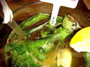 mojito