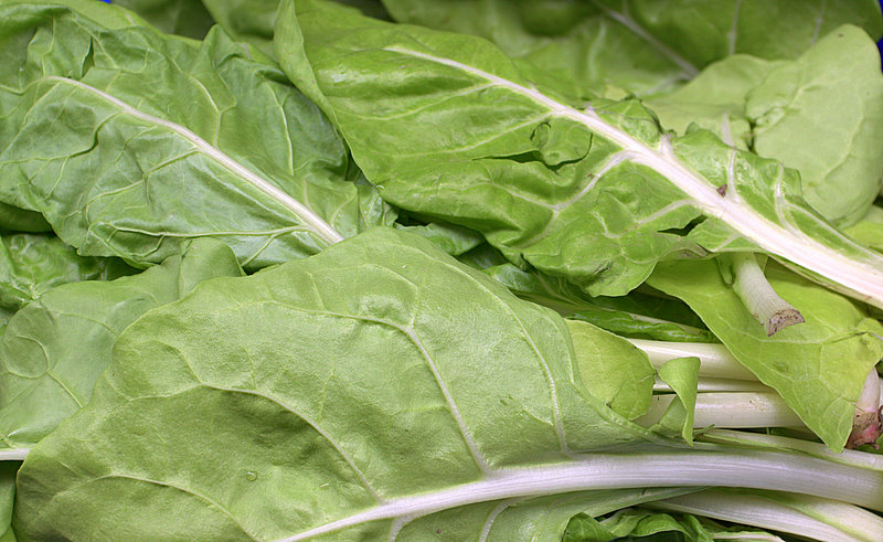 lechuga